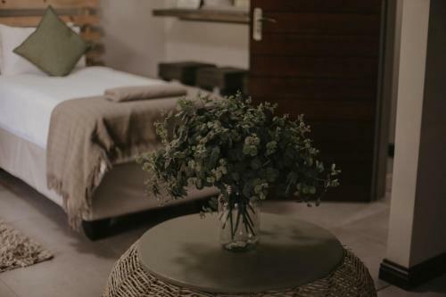 Hostal Villa Rose Guesthouse & Venue