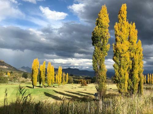 Apartamento Birchwood A & B @ Clarens
