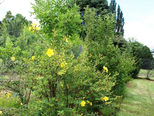 Apartamento Khaya Clarens