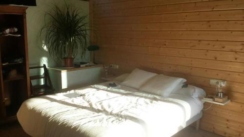 Aparthotel Hotel Villa Itsaso