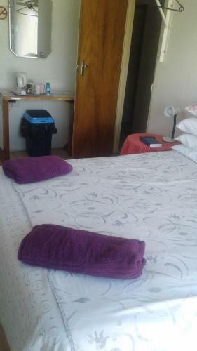 Bed & Breakfast Poplar Guest House