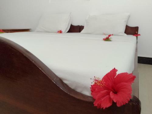 Bed & Breakfast H & H Bungalows