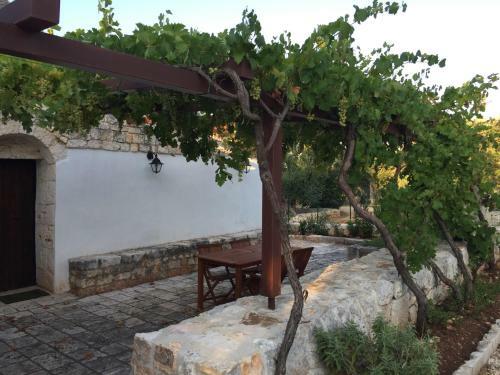 Trulli Di Mercedes