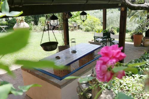 Apartamento Casa Lago Trevignano