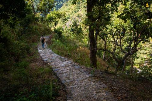 Livingstone Camping Site, Bhimtal