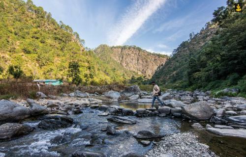 Livingstone Camping Site, Bhimtal