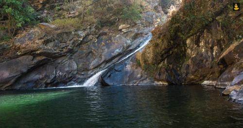 Livingstone Camping Site, Bhimtal