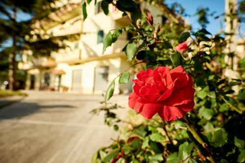 B&B Bouganville House - Casa Vacanze