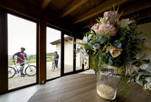 Bed & Breakfast Baita Pav�