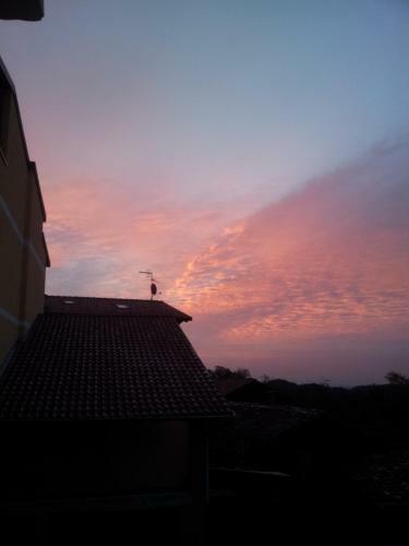 B&B Oasi Fiorita