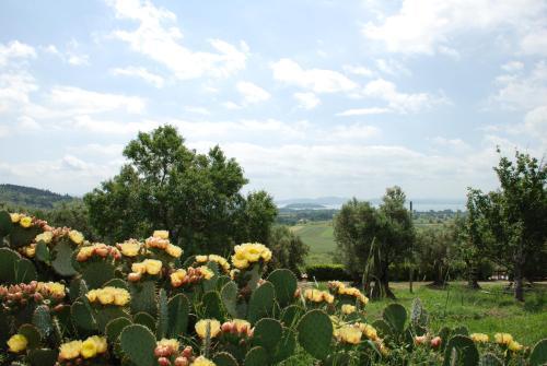 Apartamento Borgo Sanguineto