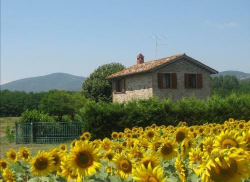 Agroturismo Agriturismo Gli Arrighi