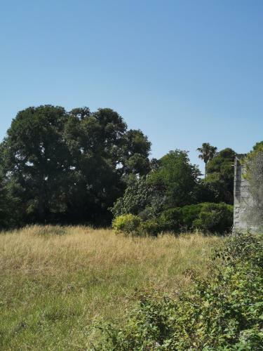 Villa Dimora Santi Medici