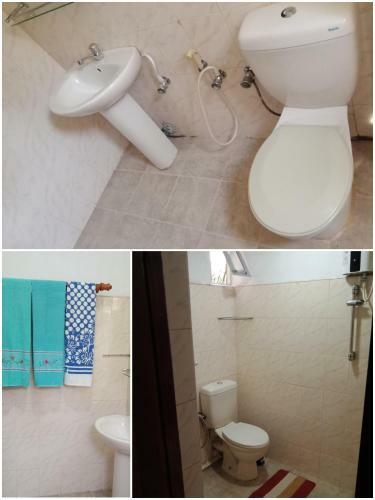 'franklyn', Homestay