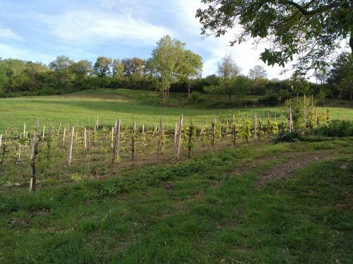 Agroturismo Agriturismo Il Melo