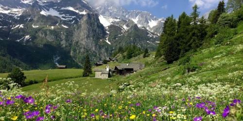 Hostal Al Vicolo Del Gallo