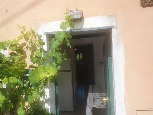 Apartamento Varese Ligure Comfy Flat With Pool