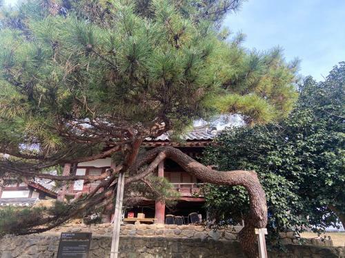 Hostal Mangindang Hanok