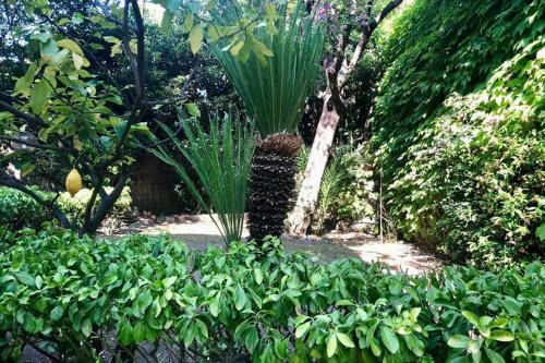 Apartamento House With Garden Baia Dei Saraceni