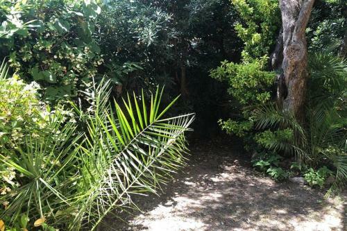 Apartamento House With Garden Baia Dei Saraceni