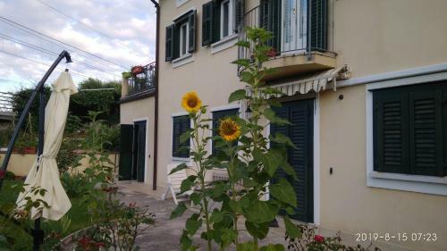 Bed & Breakfast Alle Rose Barcolane