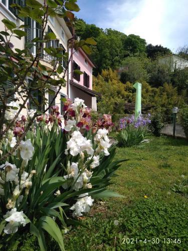 Bed & Breakfast Alle Rose Barcolane