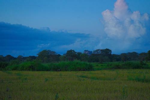 Hostal Hidden Lake Cottages Sigiriya