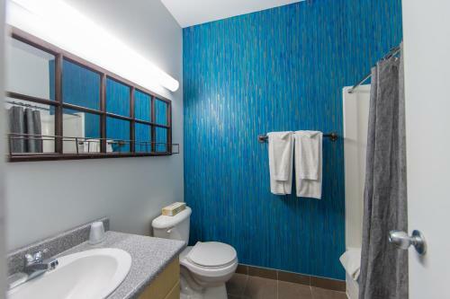 Albergue Macewan University Residence