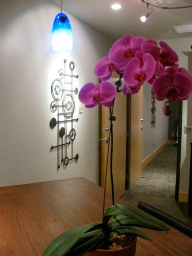 Hotel Suites At 118 - Bloomington