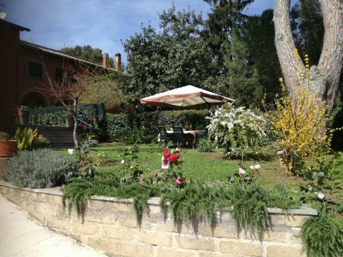 Vigna Dell'agrifoglio - Bed And Breakfast