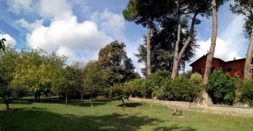 Vigna Dell'agrifoglio - Bed And Breakfast