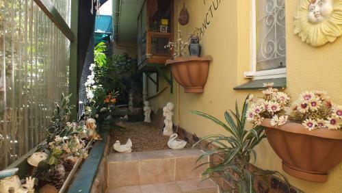 Hostal Rachel's Home From Home