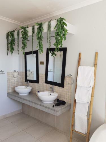 Bed & Breakfast African Vibes Camps Bay