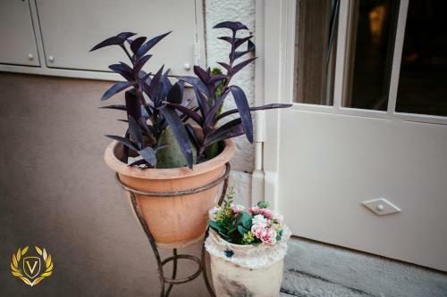 Venusuite Venosa - Luxury House & Relax -