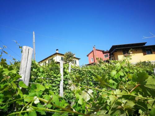 Tenuta Monteoliveto - Family Cottage