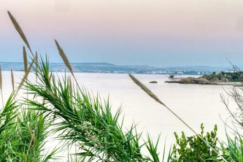 Bed & Breakfast Residenze Longhi