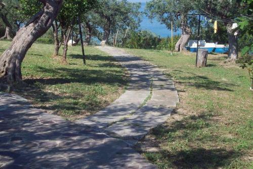 Villa Sulla Scogliera Tra Ulivi Secolari