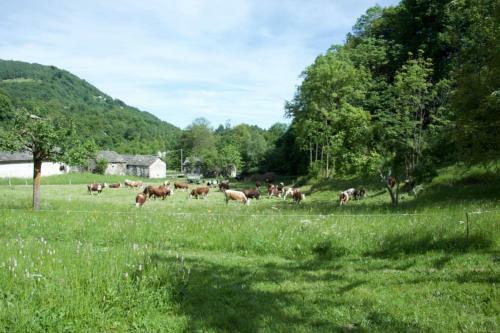 Agroturismo Countryrooms Valchiusella
