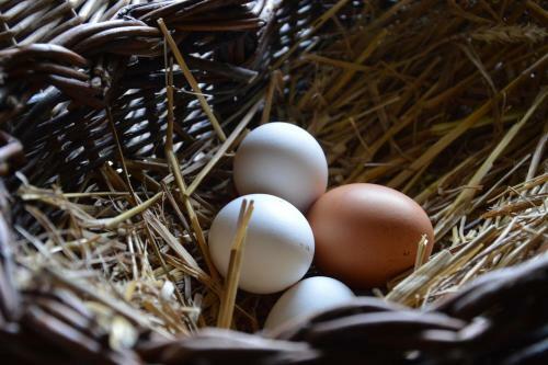Agroturismo Countryrooms Valchiusella