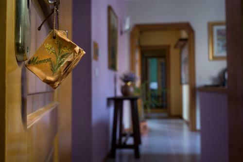 Bed & Breakfast Vibo In Centro