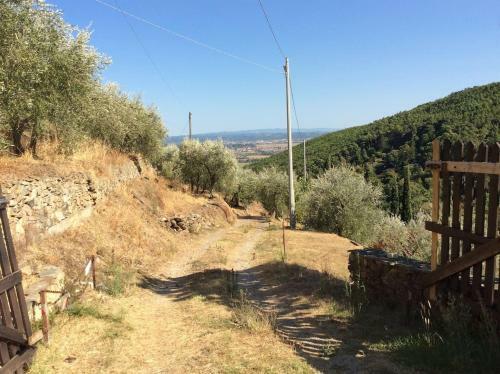 Apartamento Casa Rurale Selvadolivo