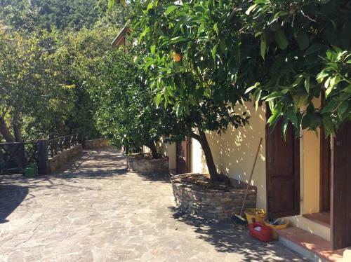 Apartamento Casa Rurale Selvadolivo