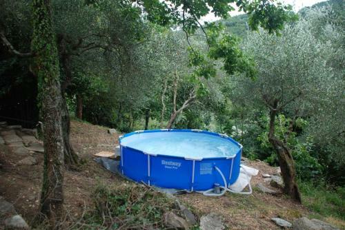 Apartamento Casa Rurale Selvadolivo