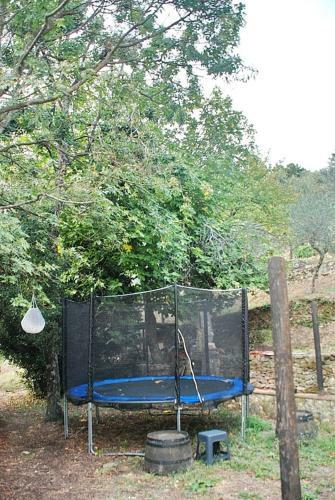 Apartamento Casa Rurale Selvadolivo