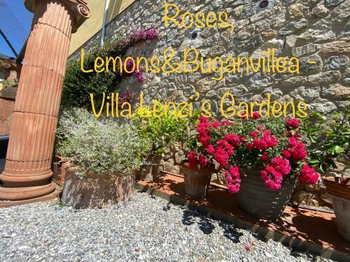 Villa Lenz's B&B