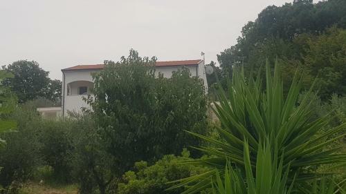 Hostal Verde Matematico
