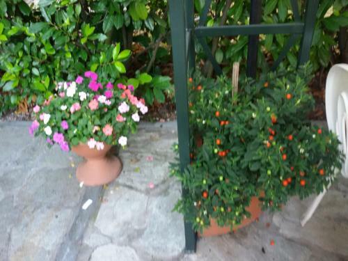 Posada Brigafatta Antica Locanda