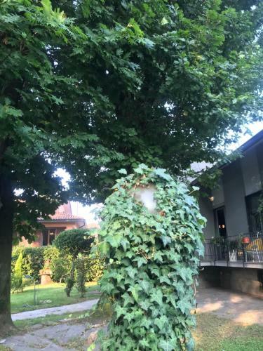 Apartamento Appartamento Per Single In Villa