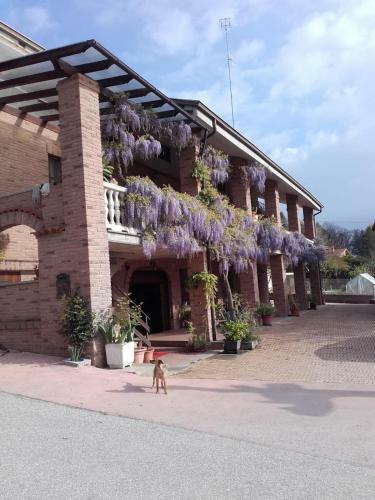 Agroturismo Agriturismo Doremi