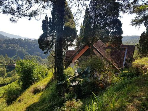 Villa Argapuri Resort Di Jungle, Ciwidey